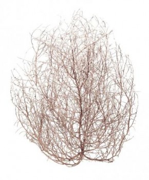 Amy Beeder’s “Dear&nbsp;Drought”